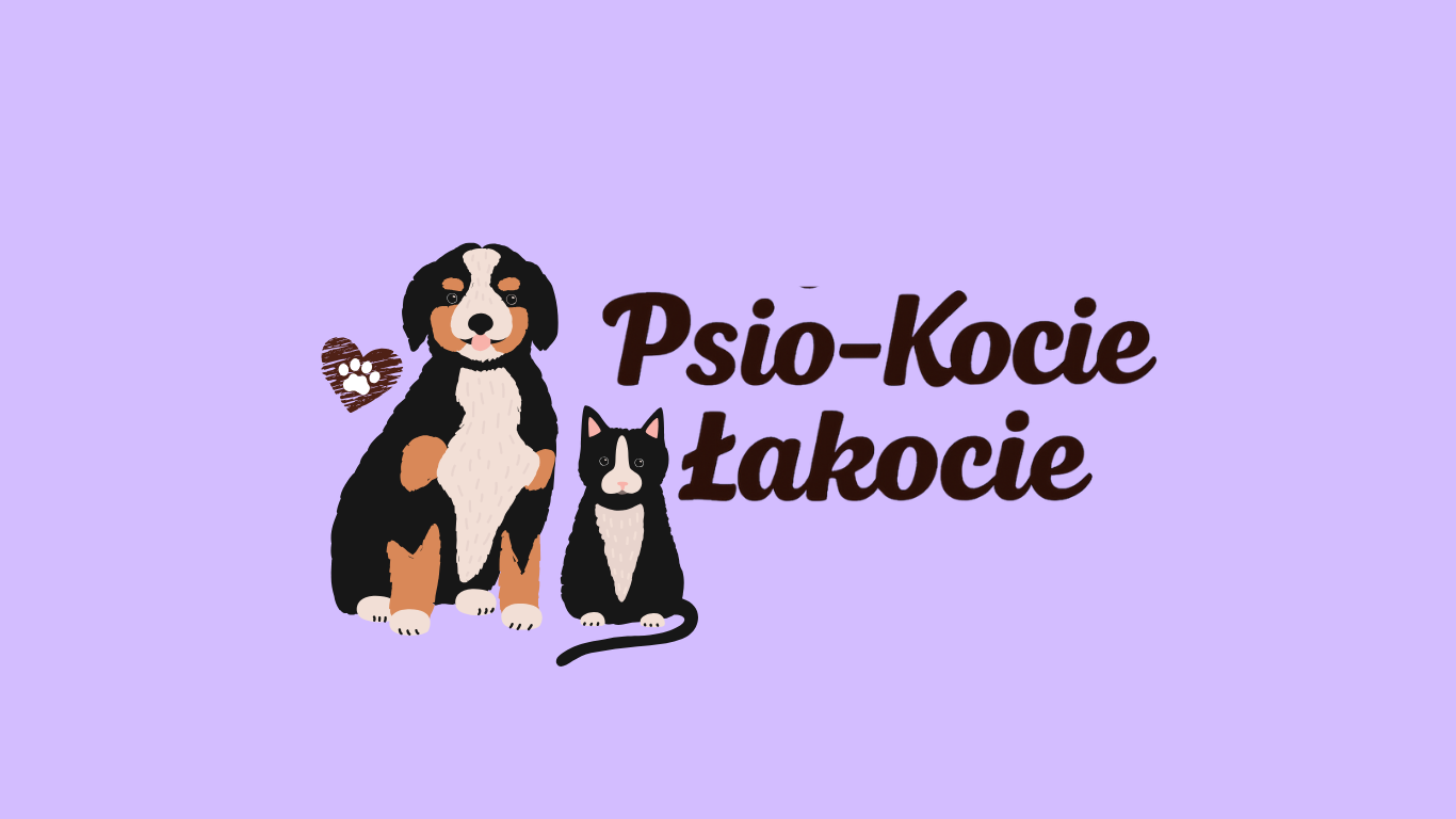 Psio - Kocie Łakocie - strona główna